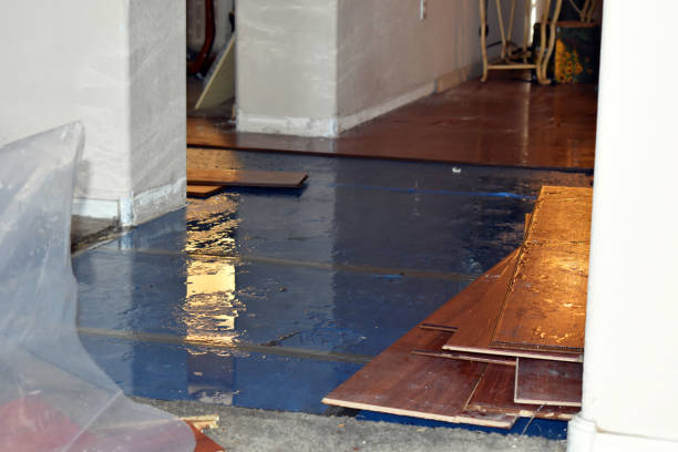 Professional Burst Pipe Cleanup technician working in Fox Island, WA