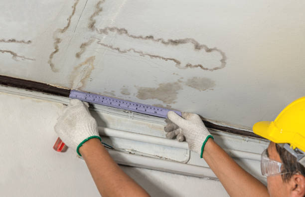 Reliable Burst Pipe Cleanup contractor in Fox Island, WA by Water Damage Irwin